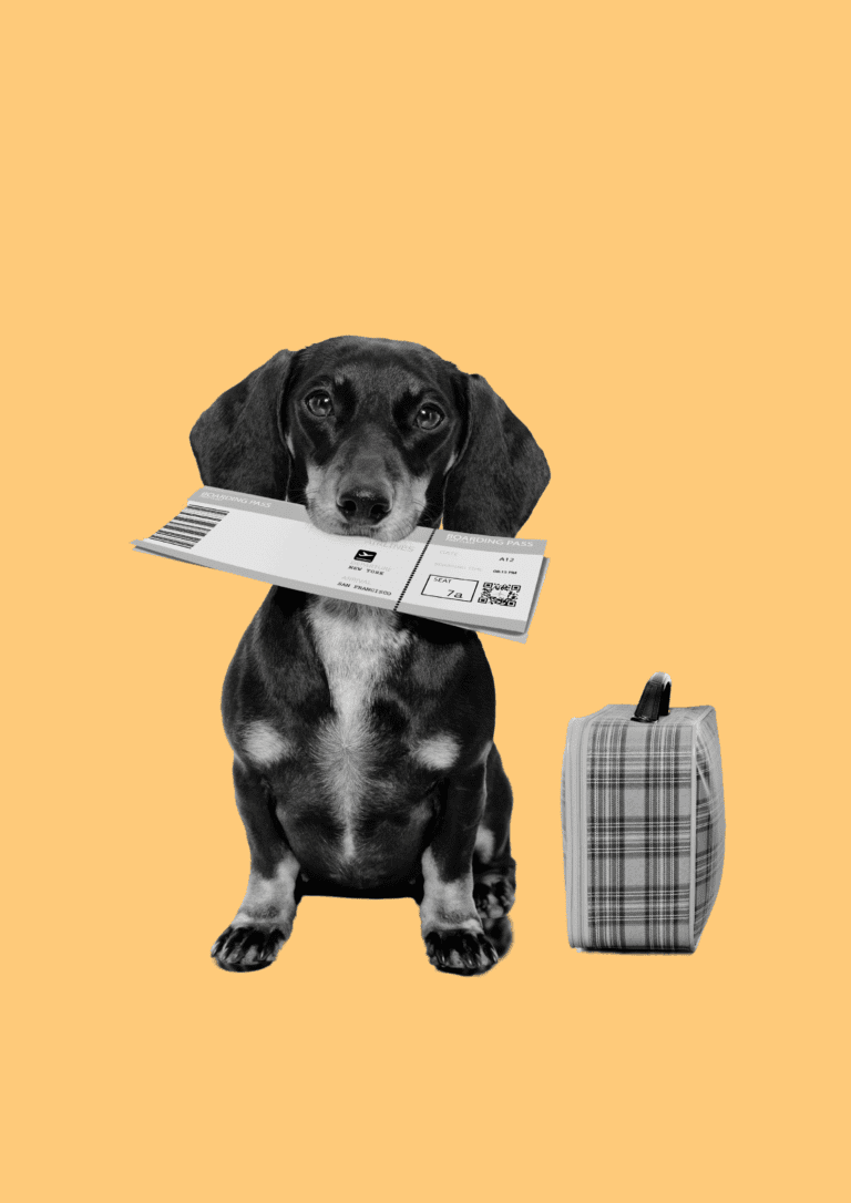 Holiday Loan Travel Options - Chipkie