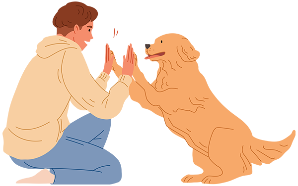 Chipkie highfive dog Pricing